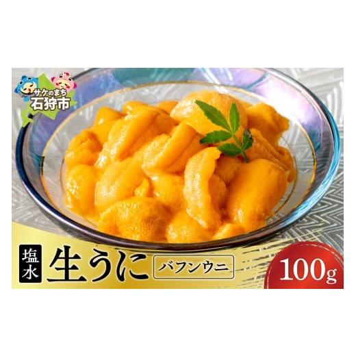 ふるさと納税 ウニ 北海道 石狩市 目利きの達人セレクト 塩水 生うに 100g(北海道産) | バフンウニ ウニ 雲丹 道産 養殖 海鮮 魚介 最高級 希少 北海道 石…