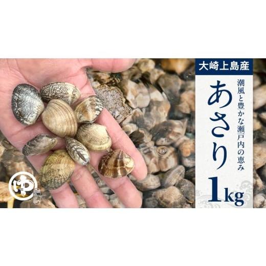 ふるさと納税 塩・だし 海塩 広島県 大崎上島町 アサリ 1kg 2026年4月以降発送 あさり 貝 魚介