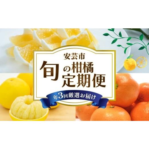 ふるさと納税 果物類 みかん 高知県 安芸市 3回 定期便 柑橘 定期便 高知 みかん 文旦 小夏 人気 旬 果物 フルーツ 食べ比べ 常温 新鮮 産地直送 土佐文旦 ぶ…