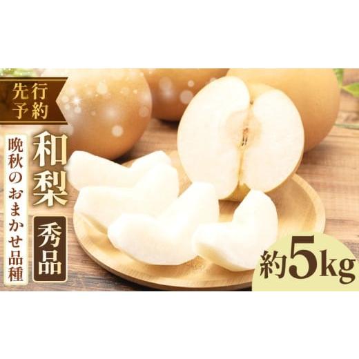 ふるさと納税 梨 千葉県 旭市 2026年先行予約 千葉県産 和梨 品種おまかせ 約 5kg 秀品 梨 新高 王秋 愛宕 等 晩生品種 晩生 晩秋 なし 和梨 果物 果実 くだ…