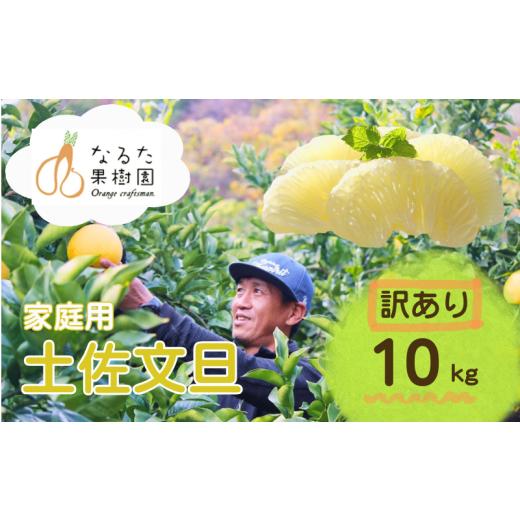 ふるさと納税 みかん・柑橘類 高知県 黒潮町 訳あり 成田果樹園の土佐文旦 10kg (家庭用) M〜5L 混合 成田果樹園 文旦10kg L 2L 3L 4L 5L 10キロ 大玉 文旦大…
