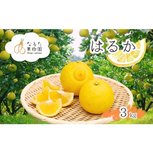 ふるさと納税 みかん・柑橘類 高知県 黒潮町 成田果樹園のはるか 3kg (M〜2L・ご家庭用) はるか 柑橘 果物 フルーツ ご家庭用 みかん ミカン 柑橘類 [1682…