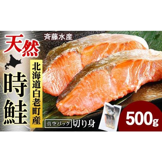 ふるさと納税 魚貝類 鮭 北海道 白老町 白老町産 時鮭 トキシラズ 500g 真空パック[斉藤水産]
