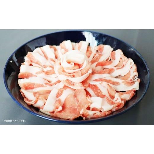 ふるさと納税 豚肉 ロース 静岡県 菊川市 静岡県産豚 ロースすきしゃぶ 約700g 豚肉 肉 ロース すき焼き しゃぶしゃぶ すき焼き用 しゃぶしゃぶ用 静岡県 菊川…