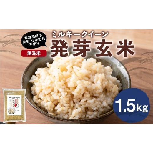 ふるさと納税 玄米 大分県 九重町 発芽玄米(大分県産ミルキークイーン) 無洗米1.5kg×1袋(1.5kg) 栽培期間中農薬・化学肥料不使用 米 こめ コメ 玄米 げんまい…