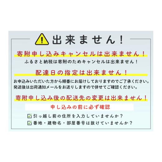 ふるさと納税 いくら 北海道 森町 北海道 海鮮セット(いくら\u0026ホタテ) 北海道産 海鮮 セット いくら ほたて ホタテ 海鮮 魚介類 魚介 冷凍 mr1-1269の画像