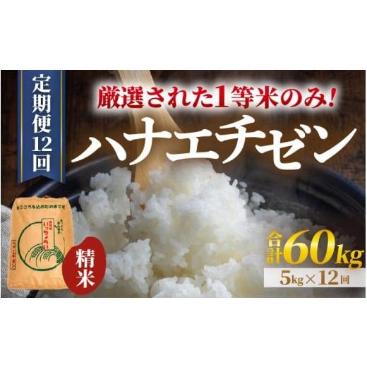 ふるさと納税 米 福井県 あわら市 先行予約 令和8年産・新米 一等米 定期便12回 ハナエチゼン 精米 5kg × 12回(60kg)[発送直前精米 ] / 福井県産 ブラ…