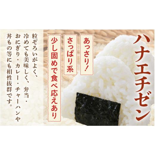 ふるさと納税 米 福井県 あわら市  先行予約 令和8年産・新米 一等米 定期便6回 ハナエチゼン 精米 5kg × 6回（30kg）《発送直前精米 》 ／ 福井県産 ブラン…の画像