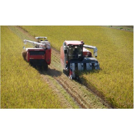 ふるさと納税 米 福井県 あわら市  先行予約 令和8年産・新米 一等米 定期便6回 ハナエチゼン 精米 5kg × 6回（30kg）《発送直前精米 》 ／ 福井県産 ブラン…の画像