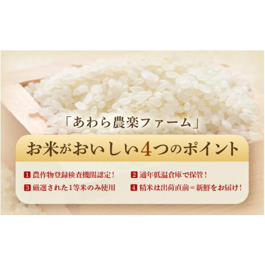 ふるさと納税 米 福井県 あわら市  先行予約 令和8年産・新米 一等米 定期便6回 ハナエチゼン 精米 5kg × 6回（30kg）《発送直前精米 》 ／ 福井県産 ブラン…の画像