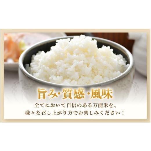 ふるさと納税 米 福井県 あわら市  先行予約 令和8年産・新米 一等米 定期便6回 ハナエチゼン 精米 5kg × 6回（30kg）《発送直前精米 》 ／ 福井県産 ブラン…の画像