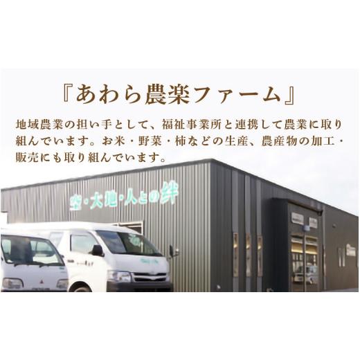 ふるさと納税 米 福井県 あわら市  先行予約 令和8年産・新米 一等米 定期便6回 ハナエチゼン 精米 5kg × 6回（30kg）《発送直前精米 》 ／ 福井県産 ブラン…の画像