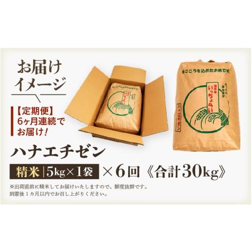 ふるさと納税 米 福井県 あわら市  先行予約 令和8年産・新米 一等米 定期便6回 ハナエチゼン 精米 5kg × 6回（30kg）《発送直前精米 》 ／ 福井県産 ブラン…の画像