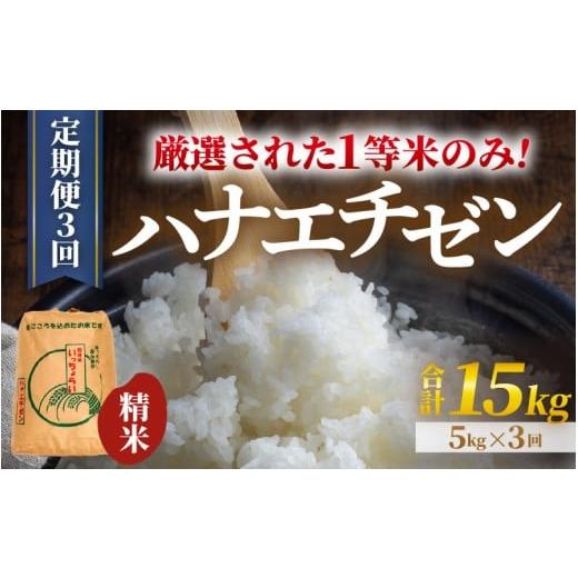 ふるさと納税 米 福井県 あわら市 先行予約 令和8年産・新米 一等米 定期便3回 ハナエチゼン 精米 5kg × 3回(15kg)[発送直前精米 ] / 福井県産 ブラン…