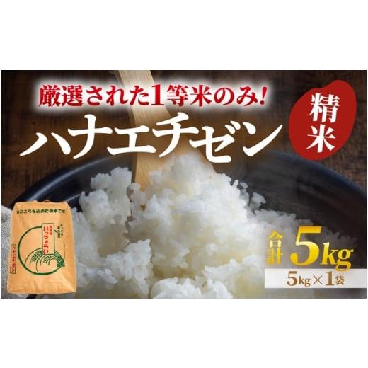 ふるさと納税 米 福井県 あわら市 先行予約 令和8年産・新米 一等米 ハナエチゼン 精米 5kg ×1袋[発送直前精米 ] / 福井県産 ブランド米 ご飯 白米 お米 …