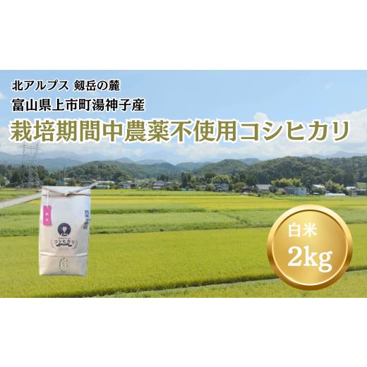 ふるさと納税 米 コシヒカリ 富山県 上市町 令和7年産 栽培期間中農薬不使用 上市町湯神子産コシヒカリ(白米)2kg ソムリエH 富山県 上市町 32280238-r6-0…