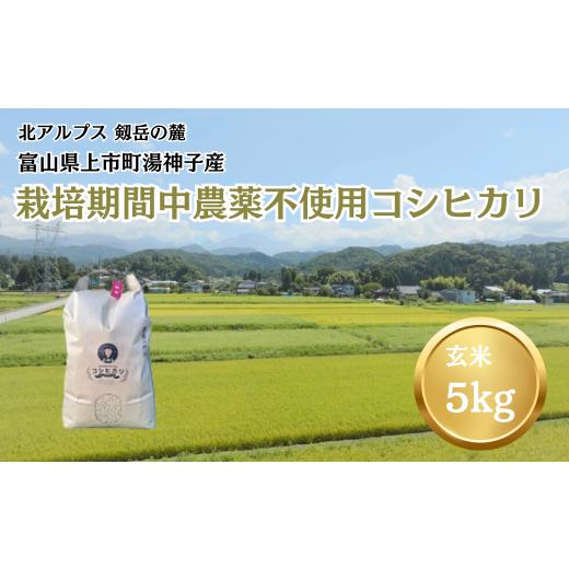 ふるさと納税 米 コシヒカリ 富山県 上市町 令和7年産 栽培期間中農薬不使用 上市町湯神子産コシヒカリ(玄米)5kg ソムリエH 富山県 上市町 32280237-r6-0…