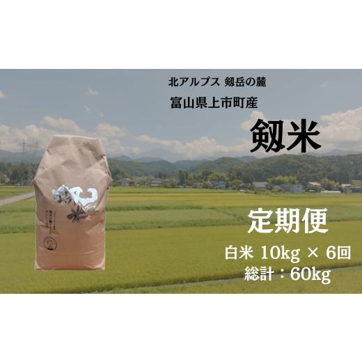 ふるさと納税 米 コシヒカリ 富山県 上市町 毎月1回お届け 定期便 令和7年産 上市町産コシヒカリ「剱米」(白米)10kg x 6回 計60kg ソムリエH 富山県 上市…