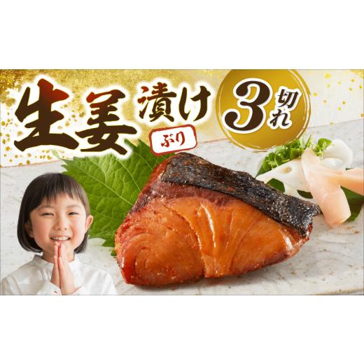 ふるさと納税 漬魚(味噌・粕等) 高知県 宿毛市 ブリの生姜漬け 3個入 3個入り ( 5,000円 )