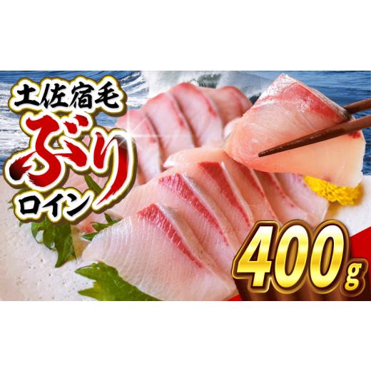 ふるさと納税 旬の鮮魚等 高知県 宿毛市 ぶり 刺身 約400g (ロイン) 約400g ( 10,000円 )