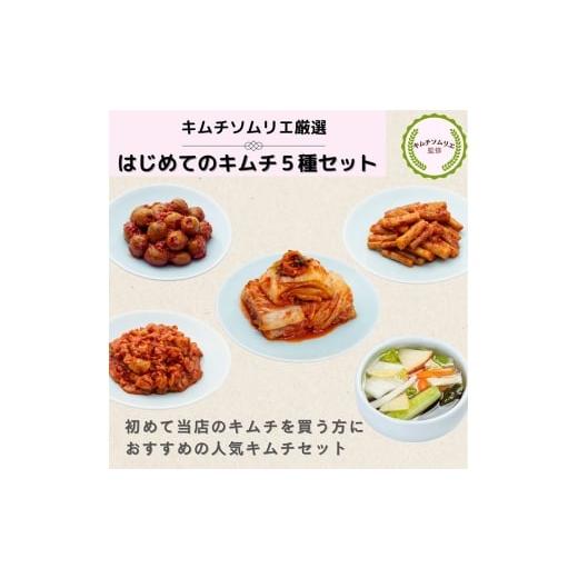 ふるさと納税 加工品等 キムチ 千葉県 野田市 キムチソムリエ厳選第一物産はじめてキムチセット / キムチ 白菜キムチ 水キムチ ごぼうキムチ オリーブキムチ …