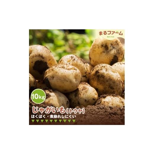 ふるさと納税 野菜類 じゃがいも 千葉県 野田市 ジャガイモ(トウヤ) 10kg / じゃがいも トウヤ 国産 新鮮 野菜 大容量 たっぷり 常備野菜 料理 煮込み カレ…