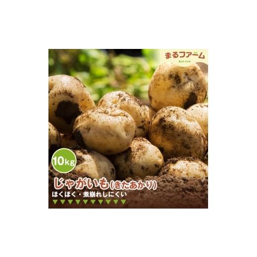 ふるさと納税 野菜類 じゃがいも 千葉県 野田市 ジャガイモ(きたあかり) 10kg / じゃがいも きたあかり 国産 新鮮 野菜 大容量 たっぷり 粉質 食感 甘み ポ…