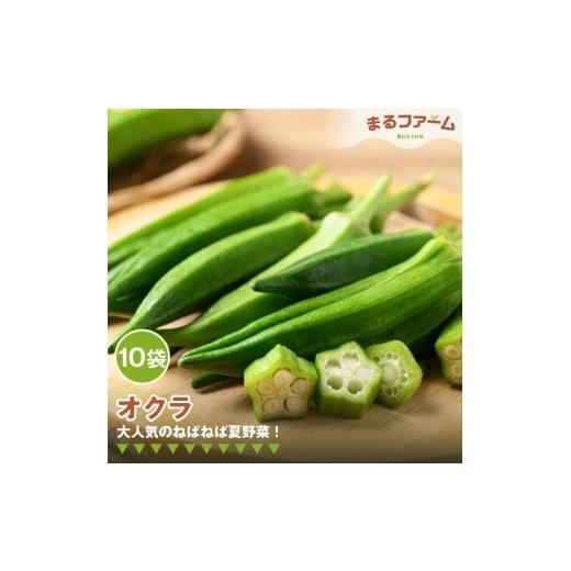 ふるさと納税 野菜類 千葉県 野田市 オクラ 10袋 / 新鮮 国産 野菜 夏野菜 ねばねば 食感 料理用 サラダ 天ぷら 和え物 下処理簡単 大容量 日常使い 千葉県 …