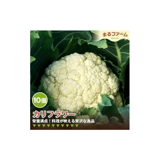 ふるさと納税 野菜類 千葉県 野田市 カリフラワー 10コ / 新鮮 国産 野菜 食感 コリコリ 甘み 料理用 サラダ スープ ピクルス 下処理簡単 野菜セット 大容量…