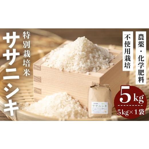 ふるさと納税 米 ササニシキ 宮城県 登米市 令和7年産 登米市産 ササニシキ 5kg×1袋 特別栽培米 農薬・化学肥料不使用 精米 お米 おこめ 米 コメ 白米 ご飯 …