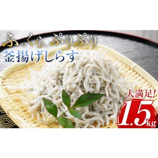 ふるさと納税 しらす・ちりめん 和歌山県 那智勝浦町 ふっくら、ぷりぷり、釜揚げしらす たっぷり1.5kg (500×3パック) 那智勝浦町 海鮮 魚介類 釜揚げしらす …