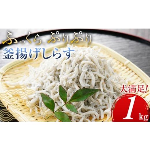 ふるさと納税 しらす・ちりめん 和歌山県 那智勝浦町 ふっくら、ぷりぷり 釜揚げ しらす 1kg(500×2パック) 1kg(500×2パック) 7,000円