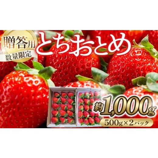 ふるさと納税 いちご 愛知県 大府市 贈答用・数量限定 とちおとめ いちご 約1kg(約500g×2パック)1パック 15粒または20粒