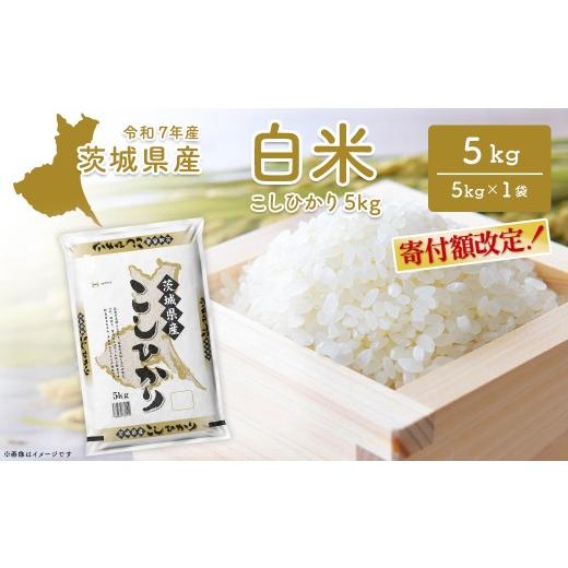 ふるさと納税 米 コシヒカリ 茨城県 境町 こしひかり 茨城県産 5kg[令和8年4月内発送] 令和7年産/白米 米 小分け 茨城県産 2025年産 コシヒカリ K2670 令和…