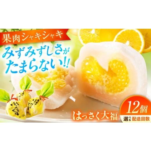 ふるさと納税 和菓子 広島県 福山市 フルーツ大福 はっさく大福 12個 入 お菓子 大福 八朔 柑橘 みかん オレンジ 餅 ギフト お取り寄せ スイーツ ご当地 菓子 …