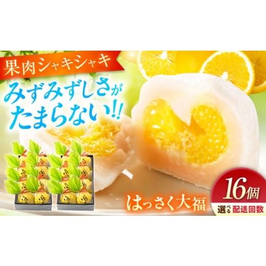 ふるさと納税 饅頭・羊羹・大福 広島県 福山市 お菓子 はっさく大福8個入×2 お菓子 大福 八朔 柑橘 みかん オレンジ 餅 ギフト お取り寄せ スイーツ フルーツ…