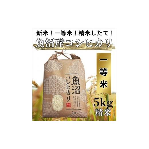 ふるさと納税 米 コシヒカリ 新潟県 魚沼市 令和7年度産 魚沼産