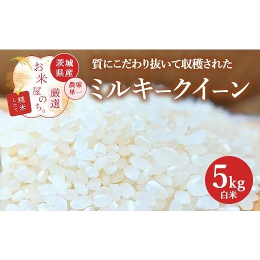 ふるさと納税 米 ミルキークイーン 茨城県 土浦市 お米屋が厳選した 農家単一の茨城県産 ミルキークイーン 5kg 離島への配送不可 2026年1月下旬〜8月下旬頃に…