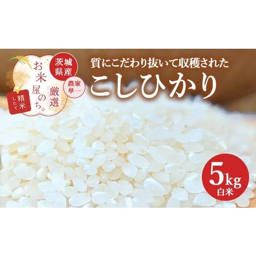 ふるさと納税 米 コシヒカリ 茨城県 土浦市 お米屋が厳選した 農家単一の茨城県産 こしひかり 5kg 離島への配送不可 2026年1月下旬〜8月下旬頃に順次発送予定