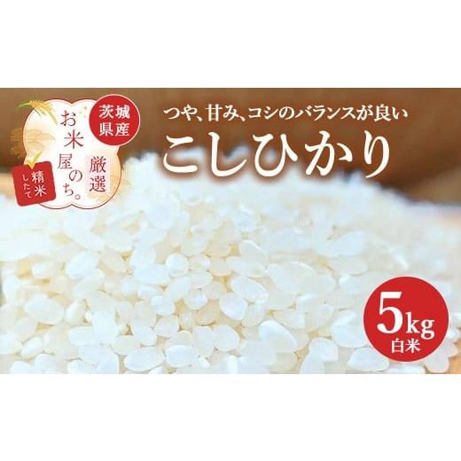 ふるさと納税 米 コシヒカリ 茨城県 土浦市 お米屋が厳選した 茨城県産 こしひかり 5kg 離島への配送不可 2026年1月下旬〜8月下旬頃に順次発送予定