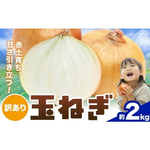 ふるさと納税 野菜類 玉ねぎ 三重県 東員町 玉ねぎ 料理に使いやすい 産地直送訳あり 玉ねぎ 約2kg 株式会社シグマサポート[2026年4月下旬-6月上旬頃出荷]三…