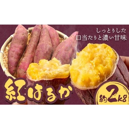 ふるさと納税 野菜類 サツマイモ 三重県 東員町 さつまいも 先行予約 紅はるか 約2kg 株式会社シグマサポート[2026年10月中旬-12月中旬頃出荷予定(土日祝除く…