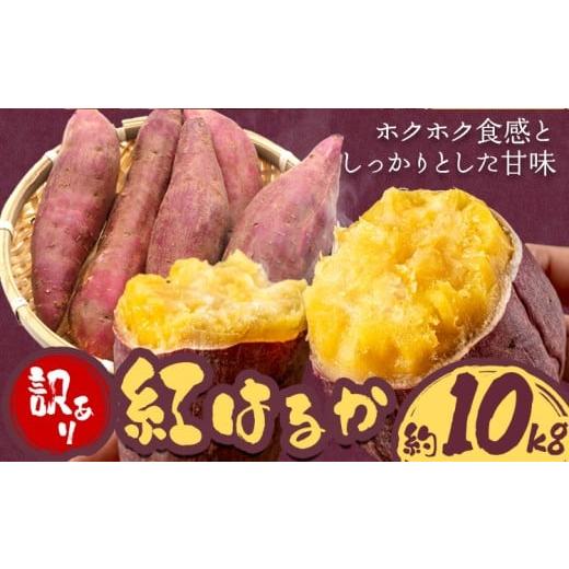 ふるさと納税 野菜類 サツマイモ 三重県 東員町 さつまいも 先行予約 訳あり さつまいも 紅はるか 約10kg 株式会社シグマサポート《2026年10月中旬-12月中旬頃…の画像