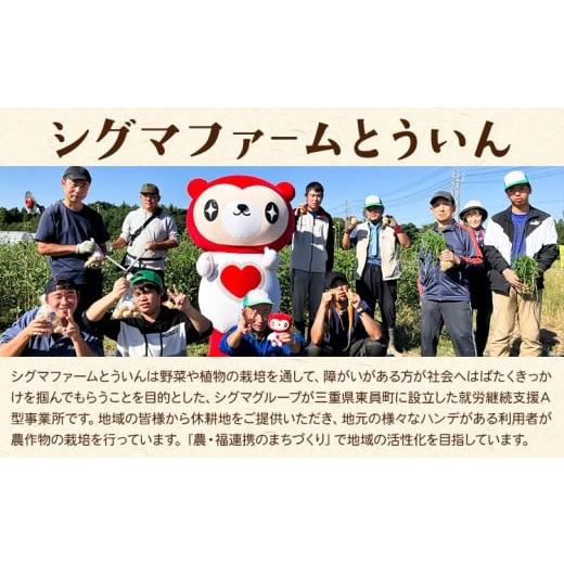 ふるさと納税 野菜類 サツマイモ 三重県 東員町 さつまいも 先行予約 訳あり さつまいも 紅はるか 約10kg 株式会社シグマサポート《2026年10月中旬-12月中旬頃…の画像