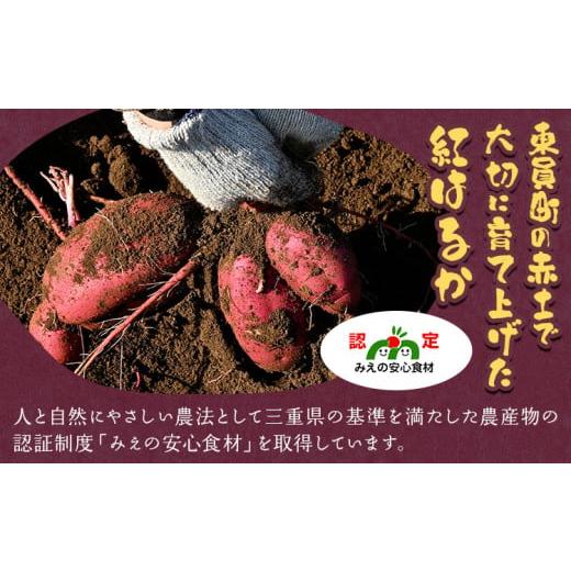 ふるさと納税 野菜類 サツマイモ 三重県 東員町 さつまいも 先行予約 訳あり さつまいも 紅はるか 約10kg 株式会社シグマサポート《2026年10月中旬-12月中旬頃…の画像