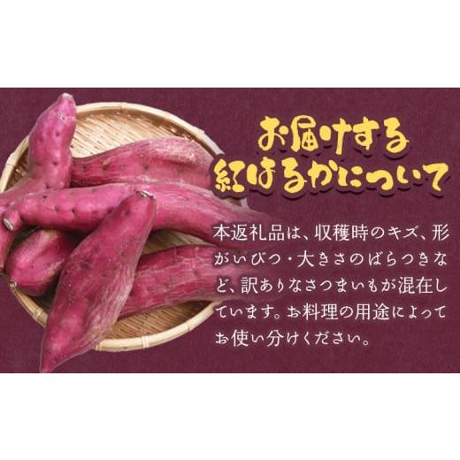 ふるさと納税 野菜類 サツマイモ 三重県 東員町 さつまいも 先行予約 訳あり さつまいも 紅はるか 約10kg 株式会社シグマサポート《2026年10月中旬-12月中旬頃…の画像