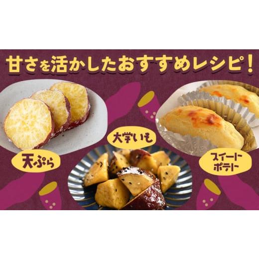 ふるさと納税 野菜類 サツマイモ 三重県 東員町 さつまいも 先行予約 訳あり さつまいも 紅はるか 約10kg 株式会社シグマサポート《2026年10月中旬-12月中旬頃…の画像