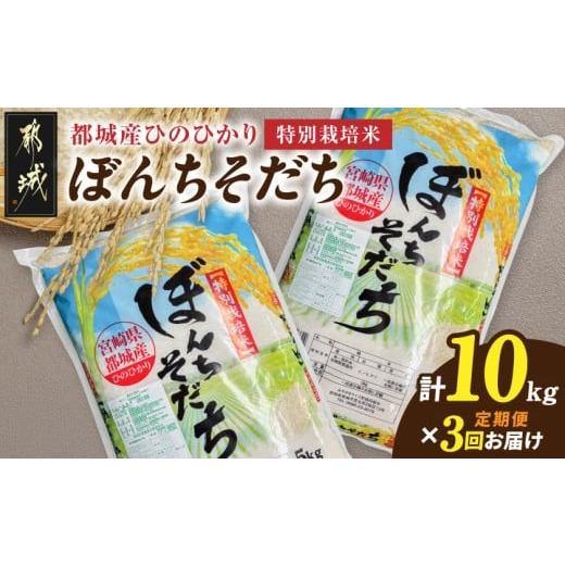 ふるさと納税 米 ヒノヒカリ 宮崎県 都城市 3回お届け 都城産ひのひかり特別栽培米「ぼんちそだち」10kg定期便_T84-3-N501_(都城市) 都城産 お米 10kg ひのひ…