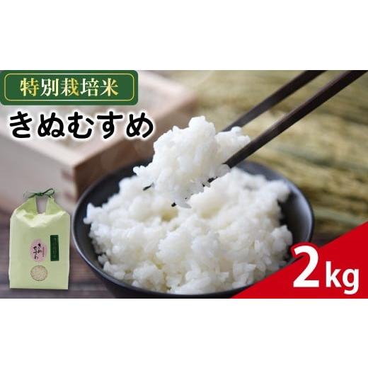 ふるさと納税 米 きぬむすめ 静岡県 藤枝市 米 きぬむすめ 2kg 農家直送 特別栽培米 精米 お米 中生種 新生活 ごはん 主食 おすすめ 人気 ひとり暮らし 便利 …
