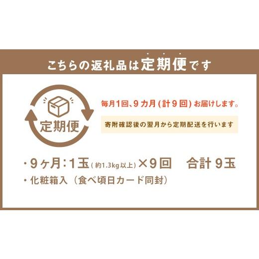 ふるさと納税 メロン メロン青肉 静岡県 菊川市  9ヶ月定期便 静岡県産高級 アローマメロン 白等級 約1.3kg以上×中玉1玉 （合計9玉） ／ 9回定期便 メロン 青…_2